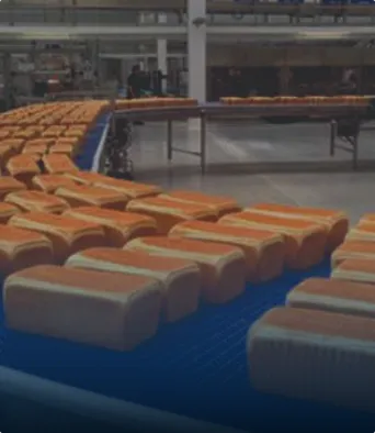 Panes de molde colocados en una cinta transportadora en una planta de producción.