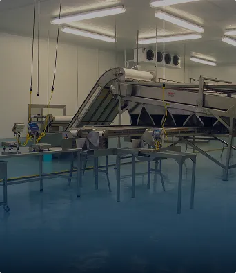 Planta industrial con cintas transportadoras y maquinaria para procesamiento en sala limpia.