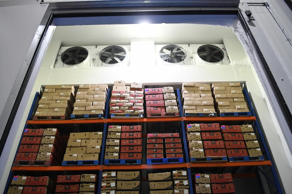 Estanterías con cajas apiladas en un almacén refrigerado con ventiladores grandes arriba.