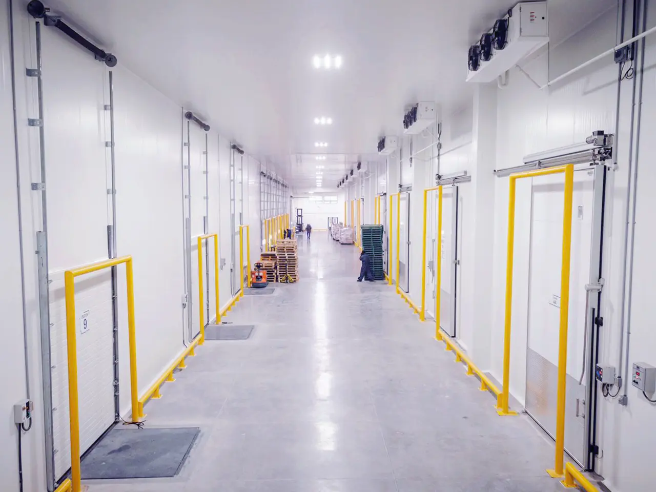Pasillo amplio de almacén frío con puertas de cámara y barandales amarillos de protección.