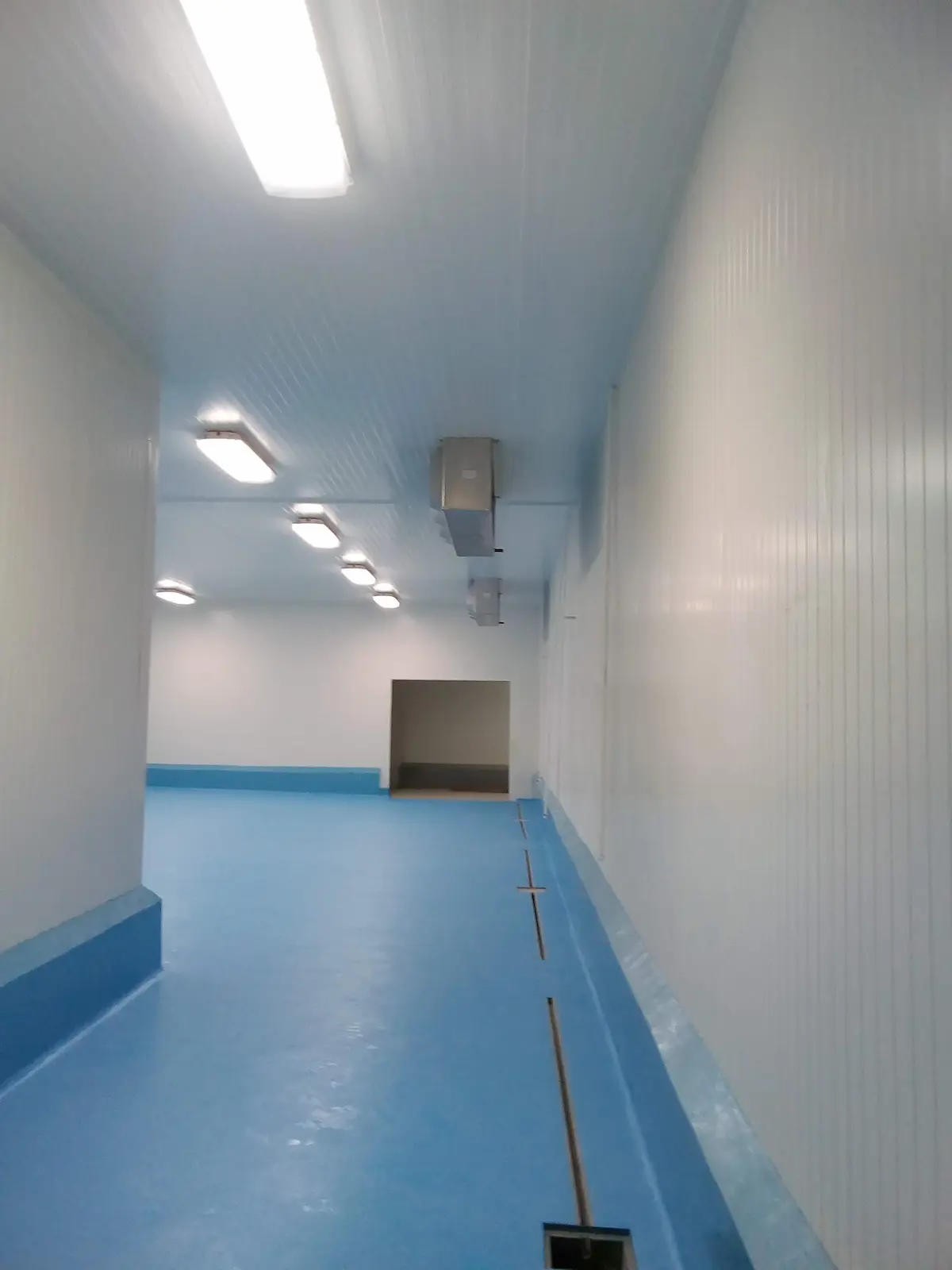 Pasillo amplio con paredes blancas y suelo azul con drenaje, iluminado por luces en el techo.