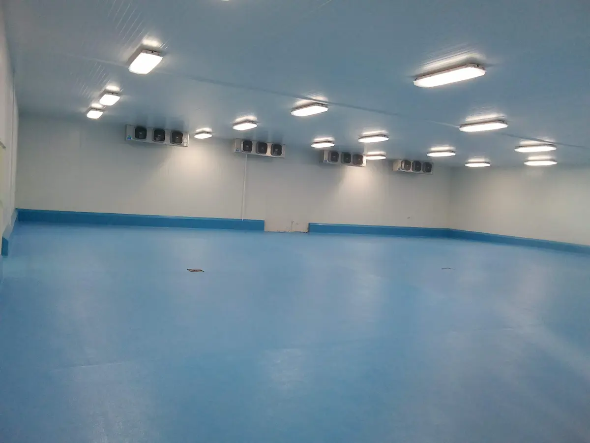 Amplia habitación con suelo azul, paredes blancas y varios ventiladores en la pared.