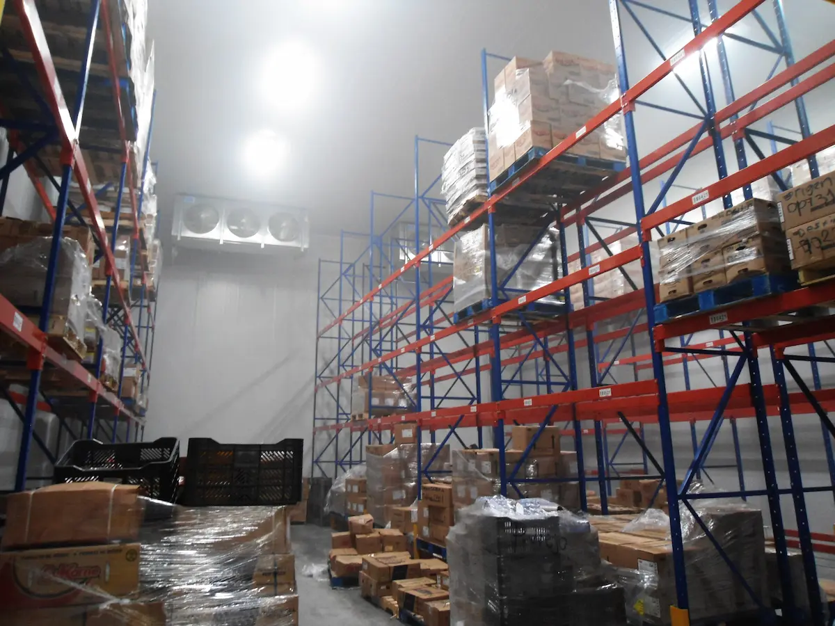 Almacén refrigerado con estanterías de metal y pallets con cajas embaladas y apiladas.
