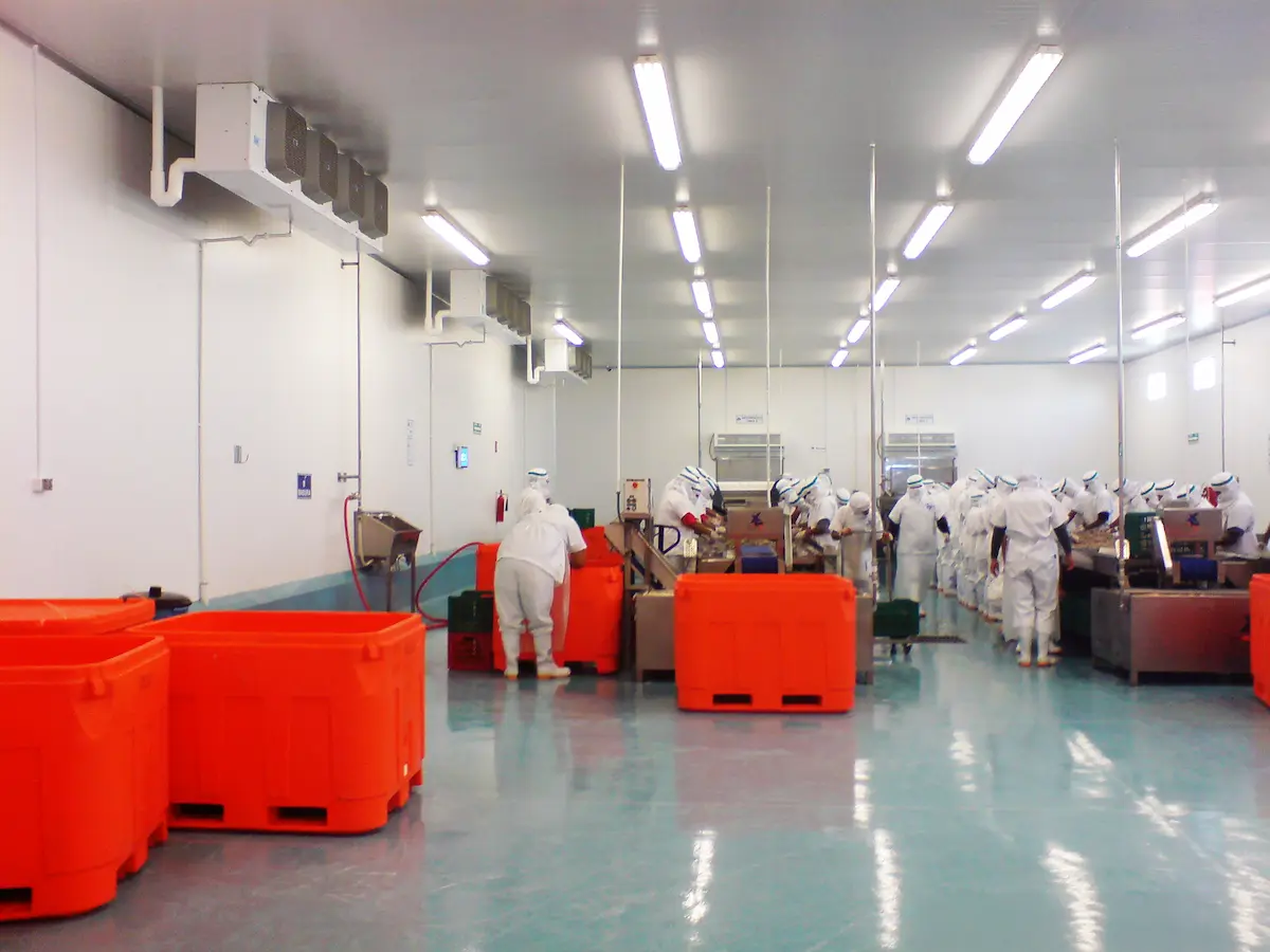 Trabajadores con ropa blanca y gorros trabajan en una planta limpia con grandes contenedores naranjas.
