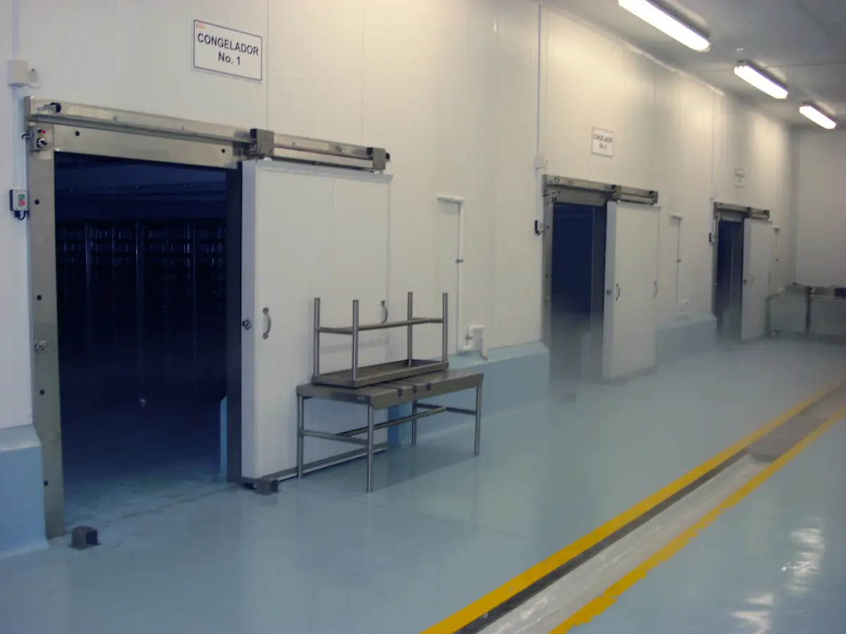 Pasillo industrial con puertas corredizas abiertas etiquetadas como congeladores en un piso limpio y brillante.