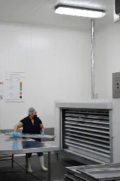 Trabajador con gorro y guantes revisa bandejas frente a un congelador industrial de placas.