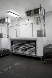 Congelador de placas industrial grande con múltiples estantes metálicos y paredes blancas.