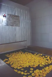 Bandeja con rodajas de fruta amarilla secándose en una sala con paredes blancas.