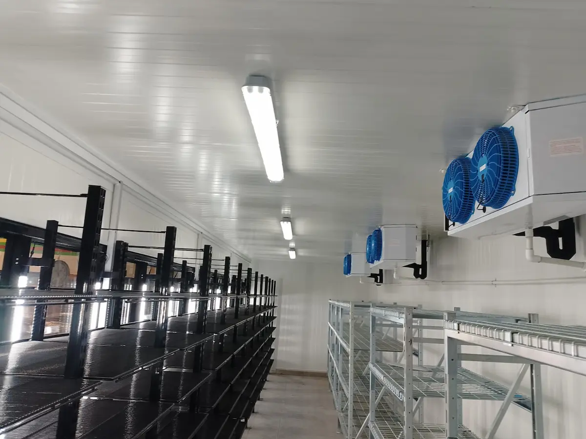 Interior de una cámara frigorífica con estanterías metálicas y ventiladores azules en el techo.