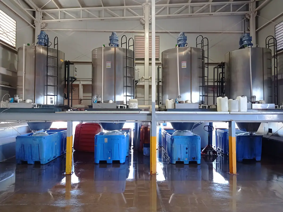 Tanques industriales de acero inoxidable con grandes contenedores azules en el suelo de planta limpia.