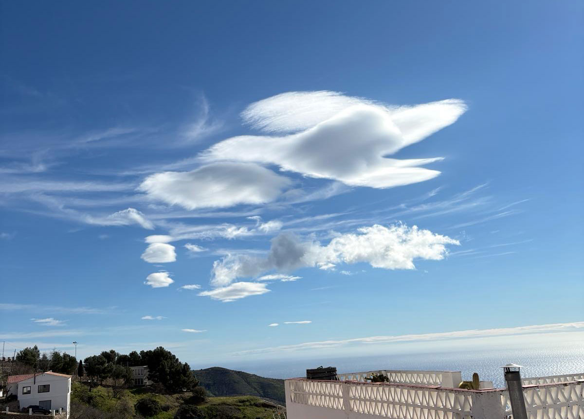 image of a coach consulting with a client