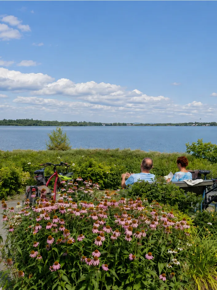 Les berges du parc André J. Côté à Candiac, avec des kayakistes sur l’eau