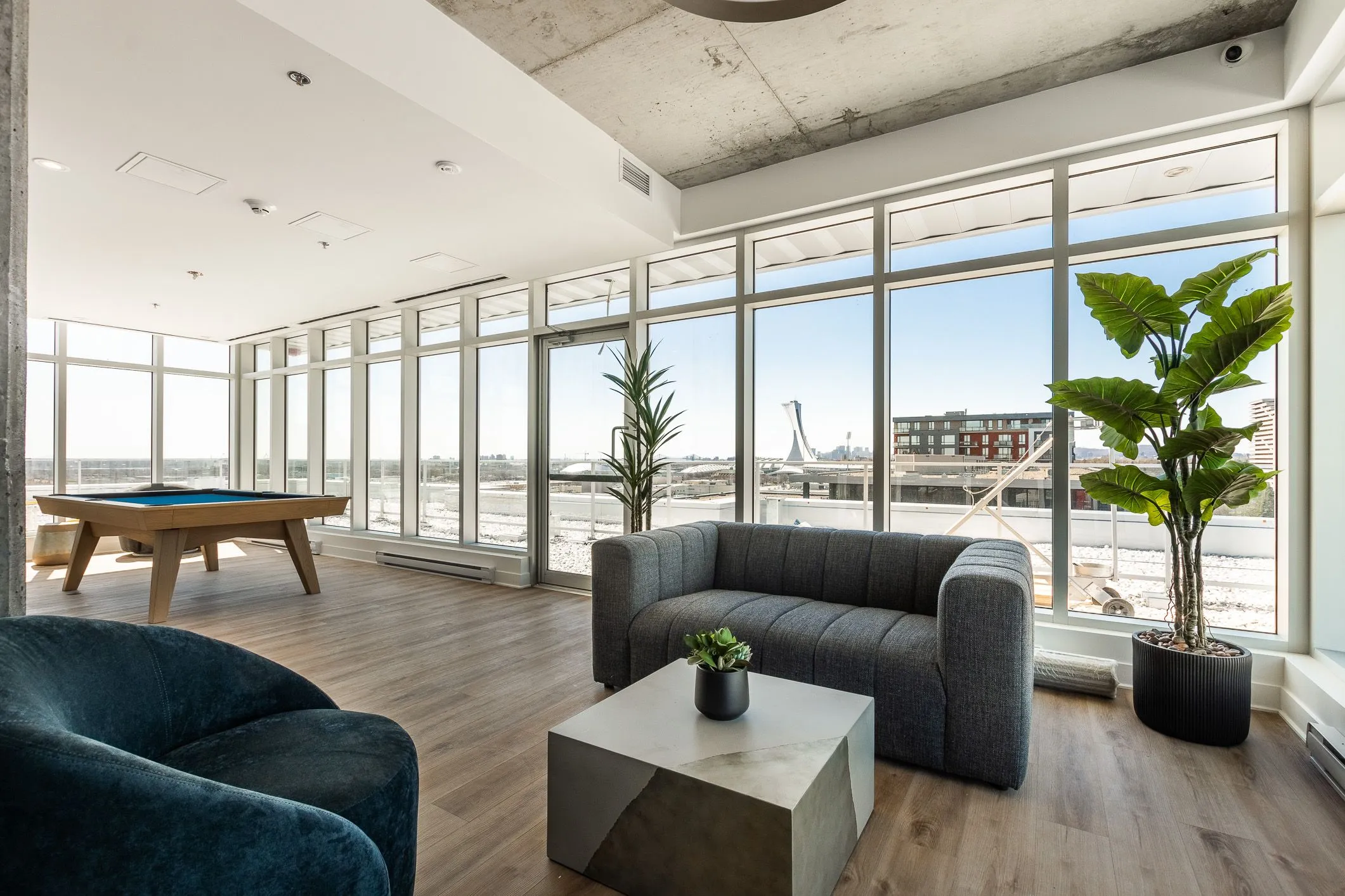 Lounge avec table de billard et vue sur le quartier, Mostra Maisonneuve