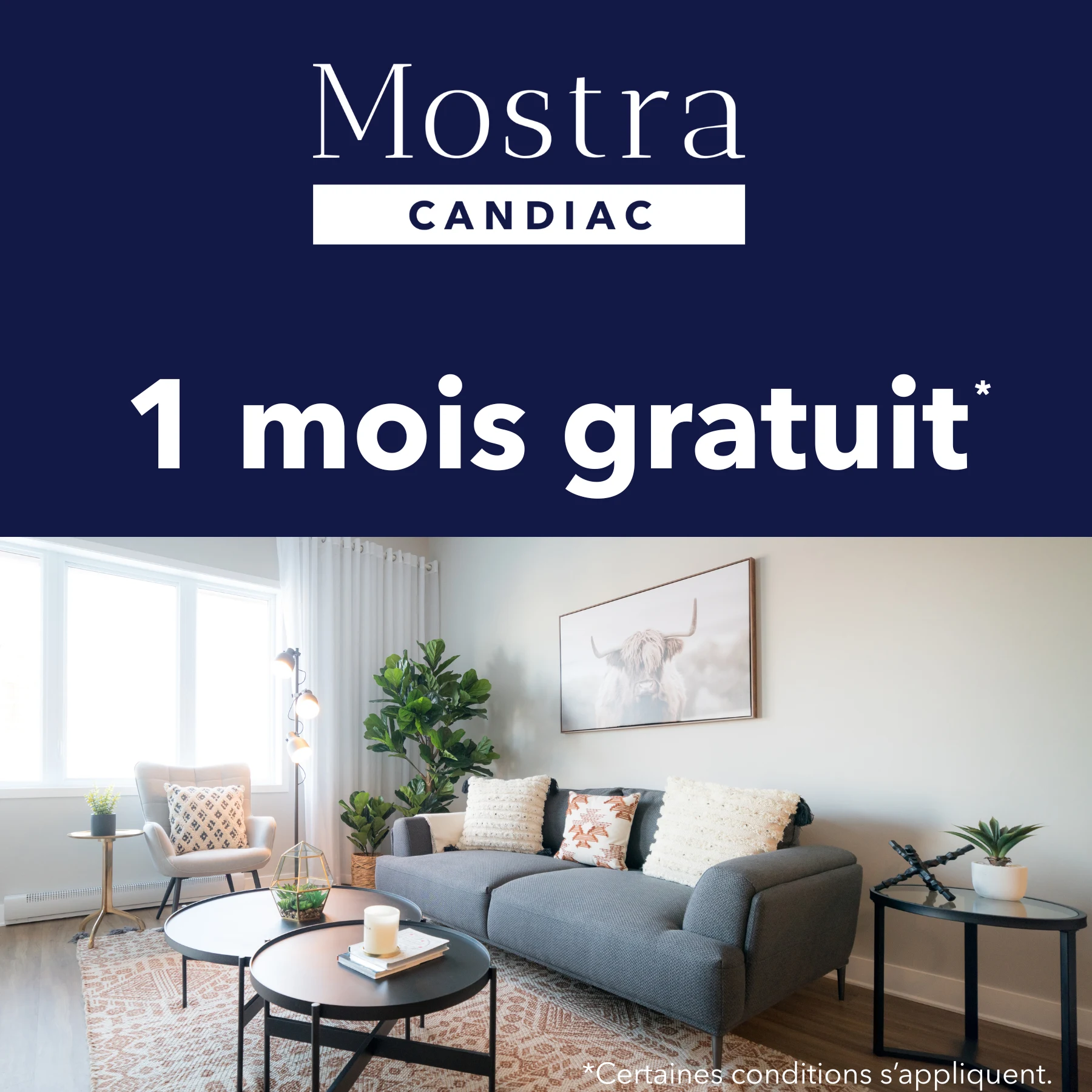 Mostra Candiac : 1 mois gratuit. Certaines conditions s'appliquent.