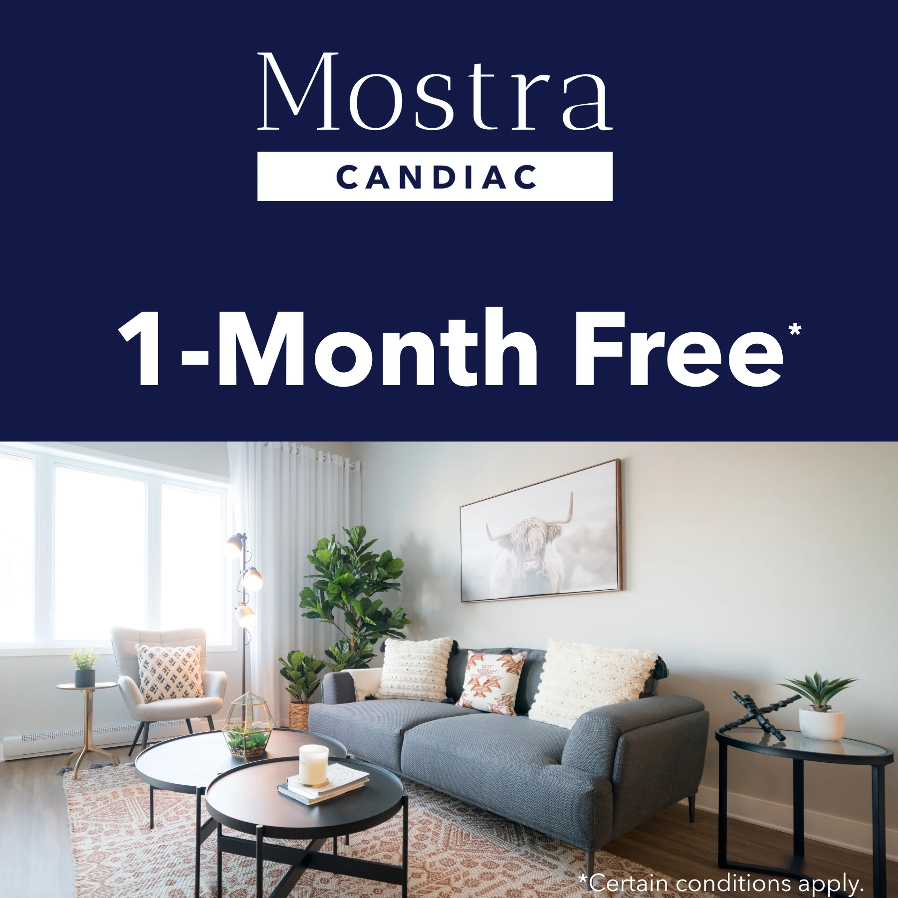 Mostra Candiac: 1 month free. Certain conditions apply.