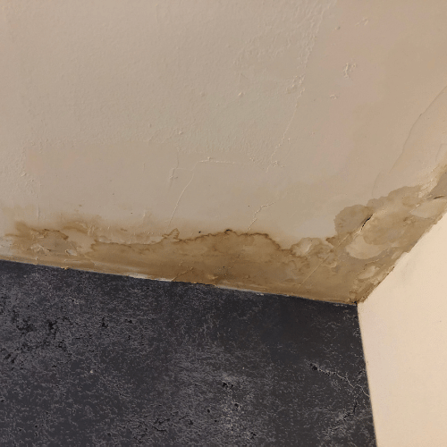 6 Signs Your Home May Have a Hidden Water Leak