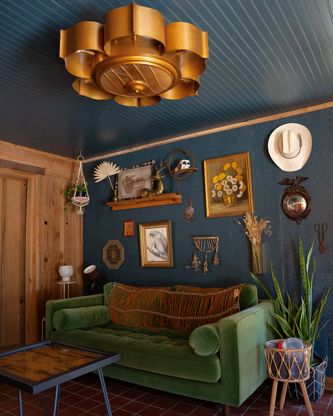 [background image] retail setting with neatly arranged products (for a pharmacy)