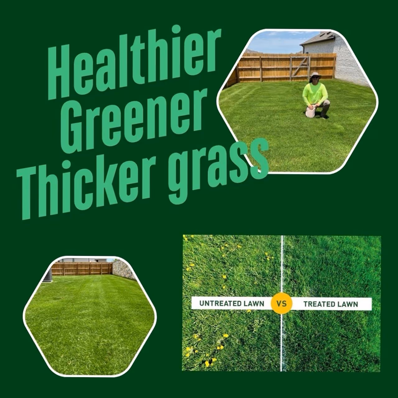 Thick green turf after fertilization and aeration service