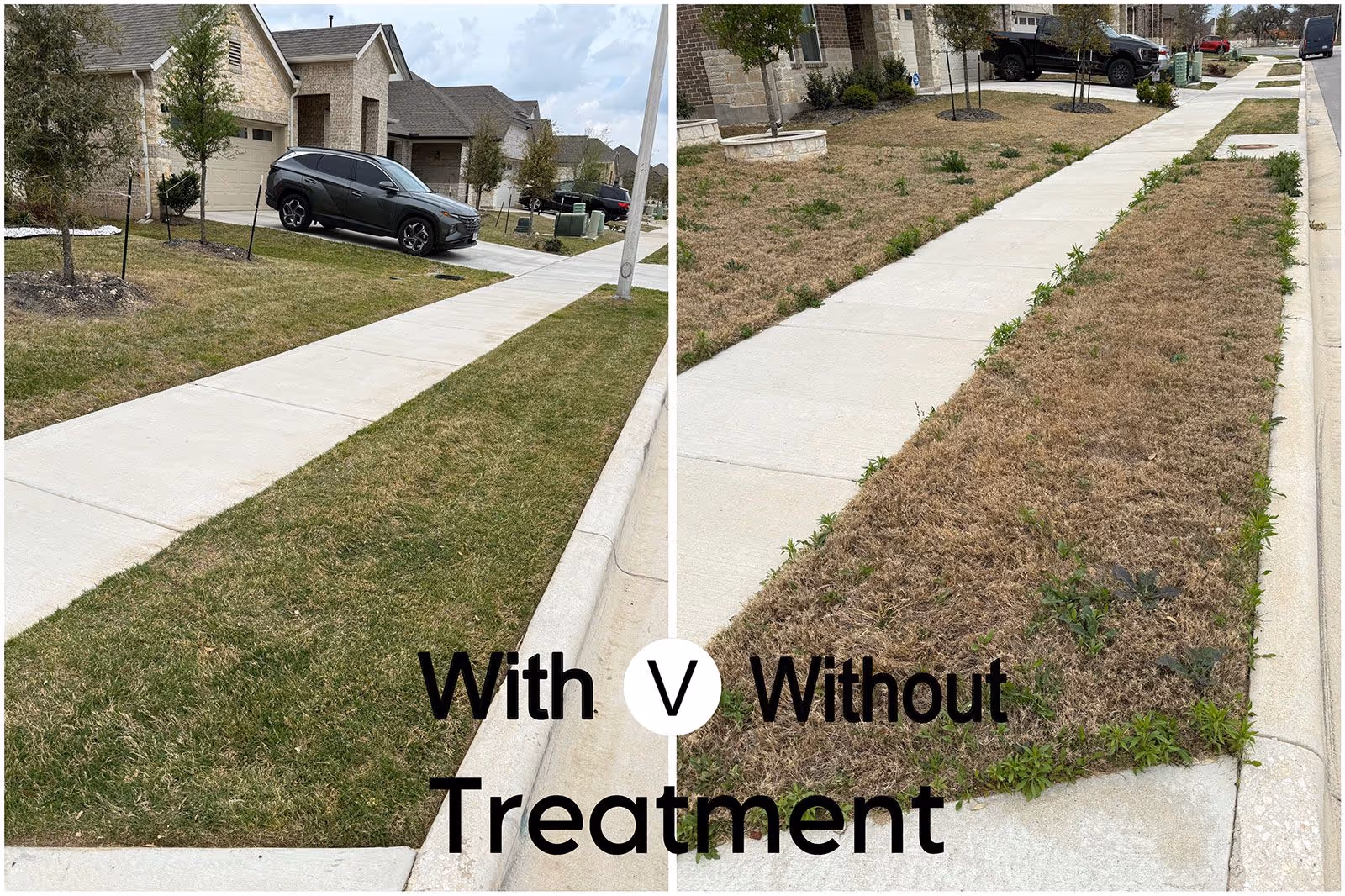 Healthy green lawn after professional weed control service in Liberty Hill Texas