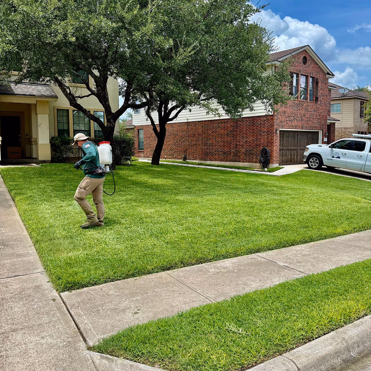 Professional weed control service by Bluebonnet Turf Co in Cedar Park Texas