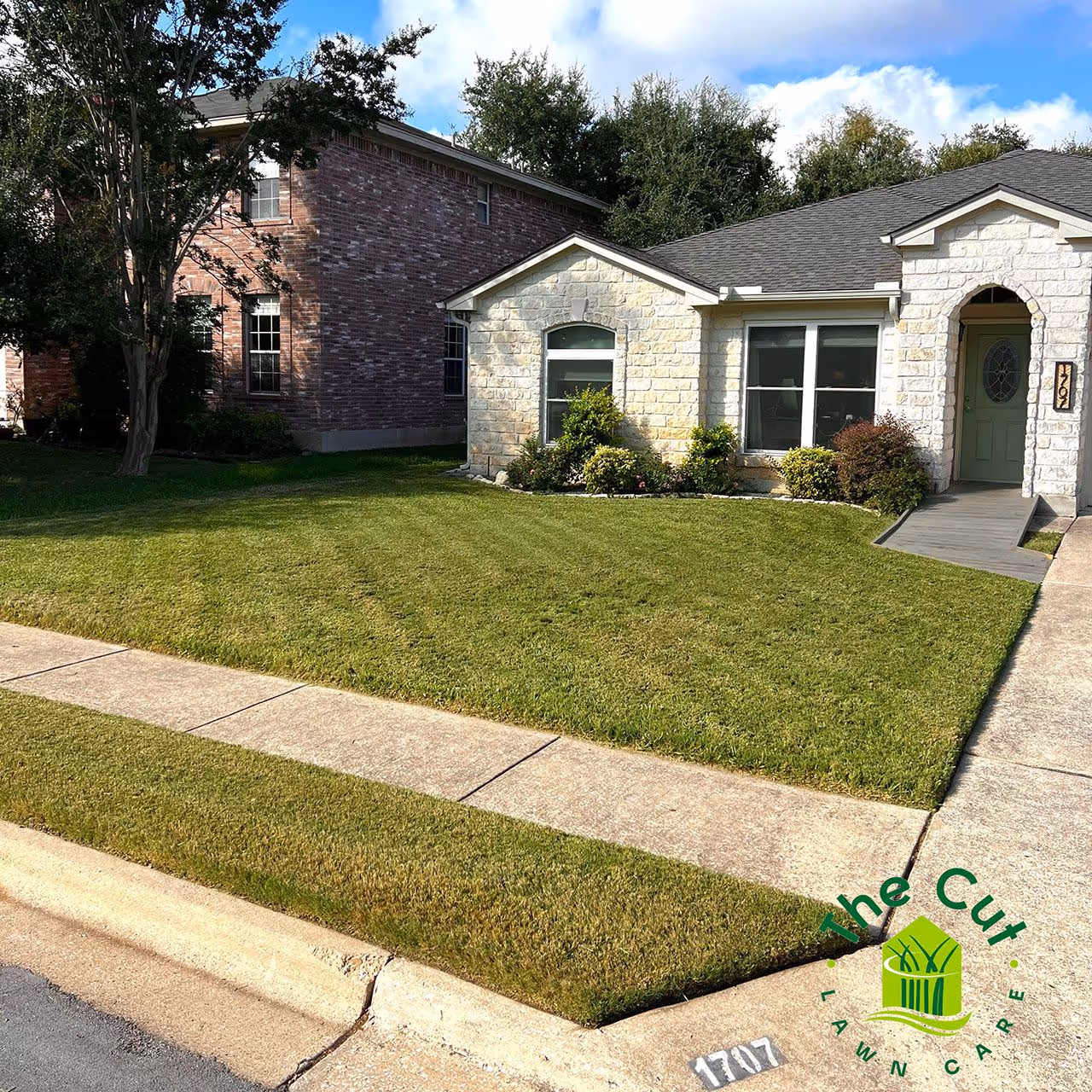 Broadleaf weed treatment by Bluebonnet Turf Co