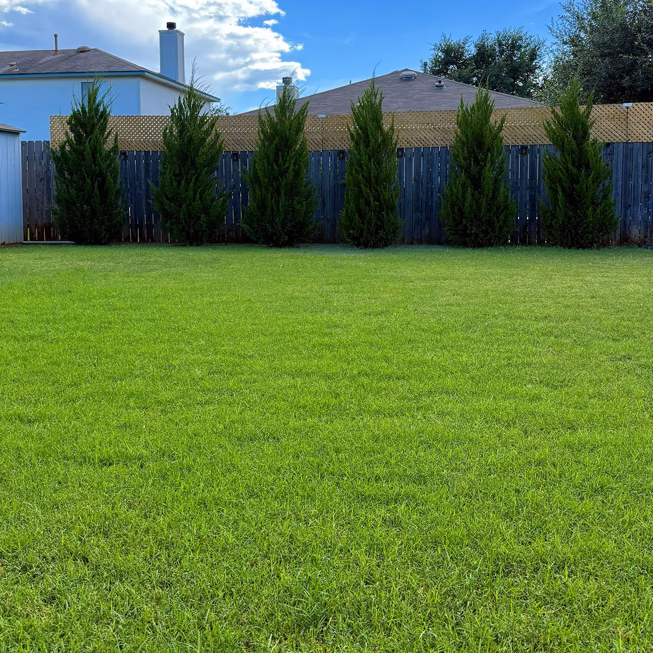 Weed free residential lawn after treatment in Liberty Hill Texas
