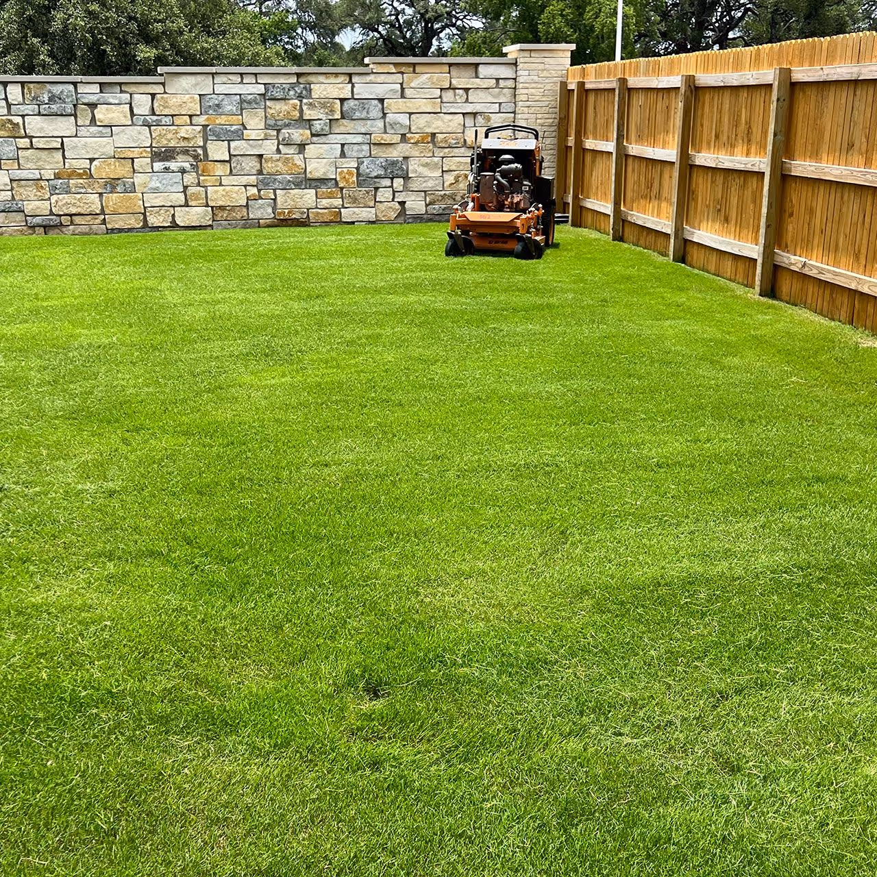 Targeted broadleaf and grassy weed control application