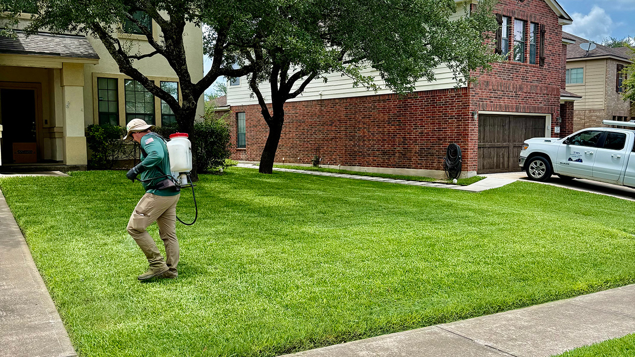 Weed control service near me in Cedar Park Texas