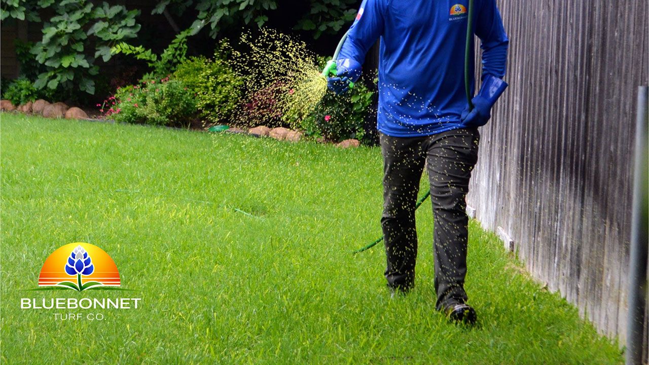 Weed control service near me in Cedar Park Texas
