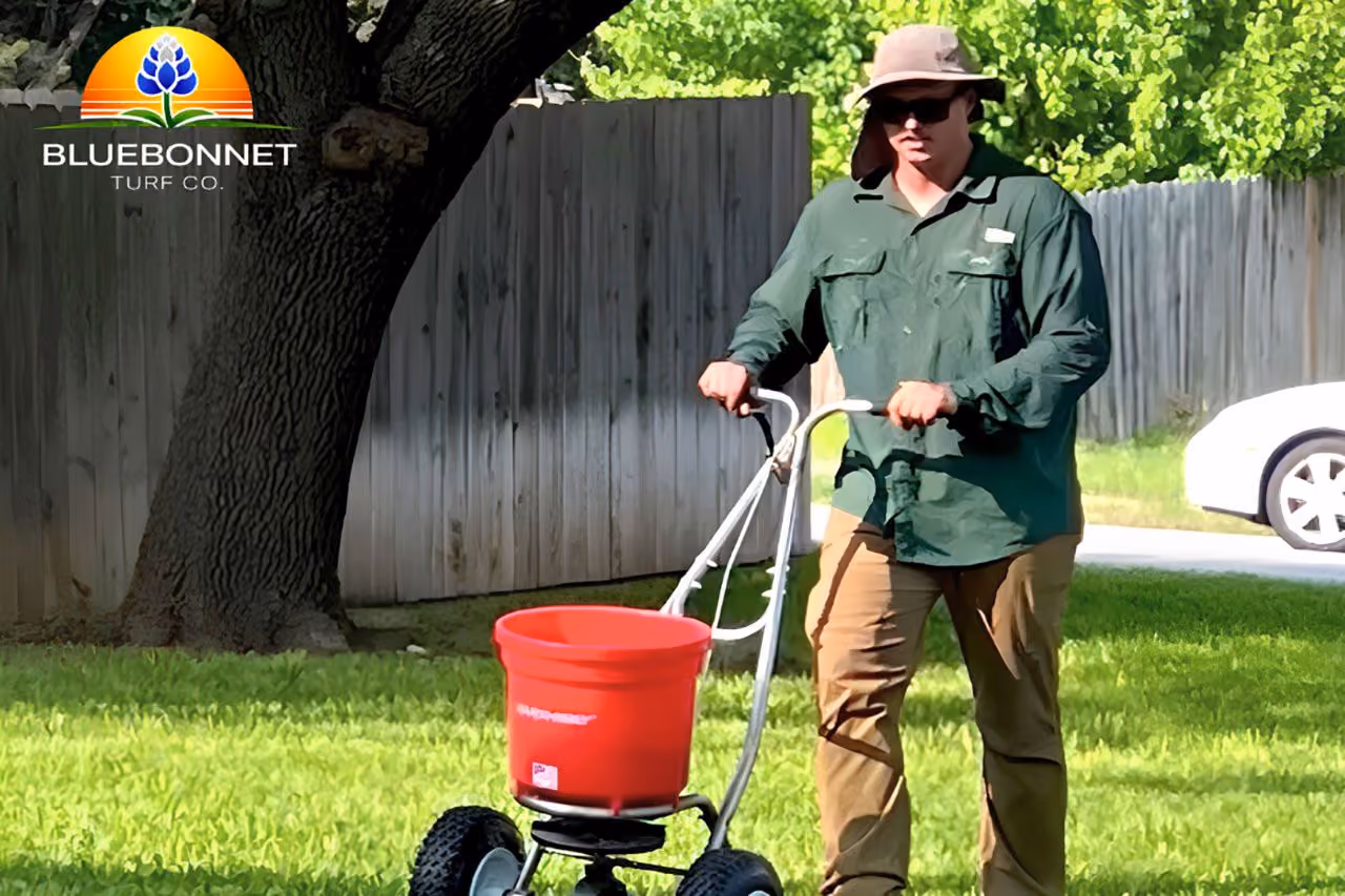 Lawn fertilization service by Bluebonnet Turf Co