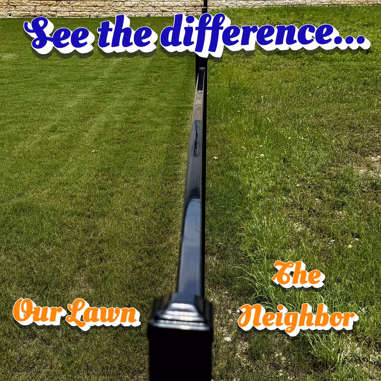Before and after lawn transformation with Bluebonnet Turf Co