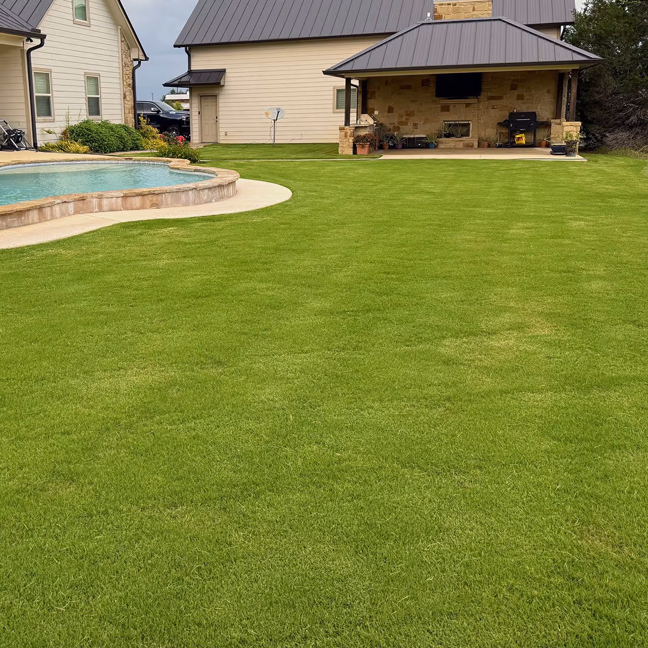 Vibrant healthy turf after seasonal lawn treatments