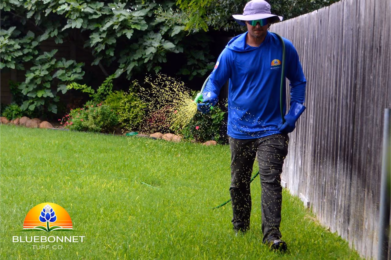 Post emergent weed treatment near me in Leander Texas