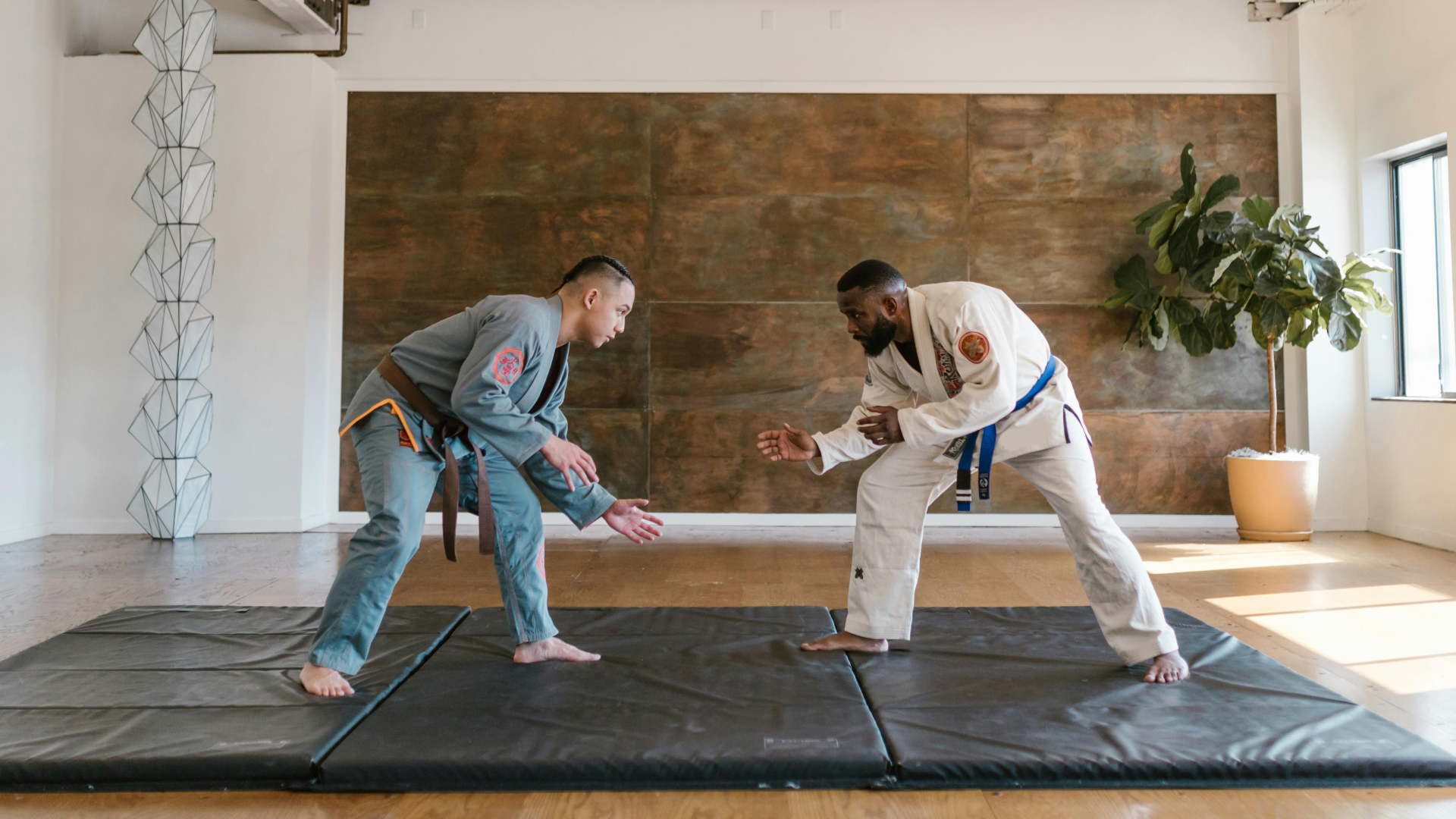 Tribe Jiu Jitsu Academy