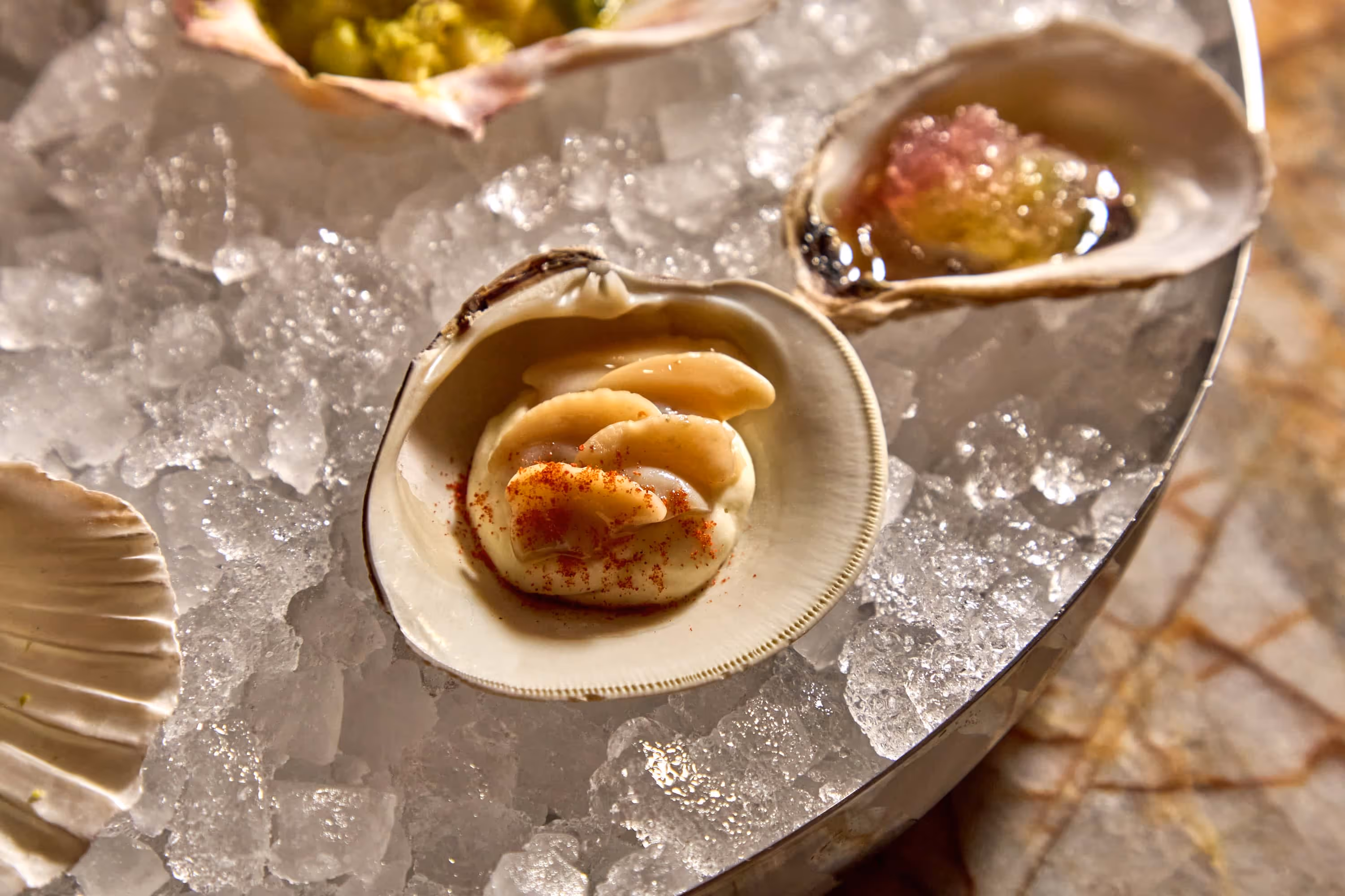 Close-up of a shell filled with a creamy sauce topped with sliced shellfish, placed on crushed ice in a metal bowl.