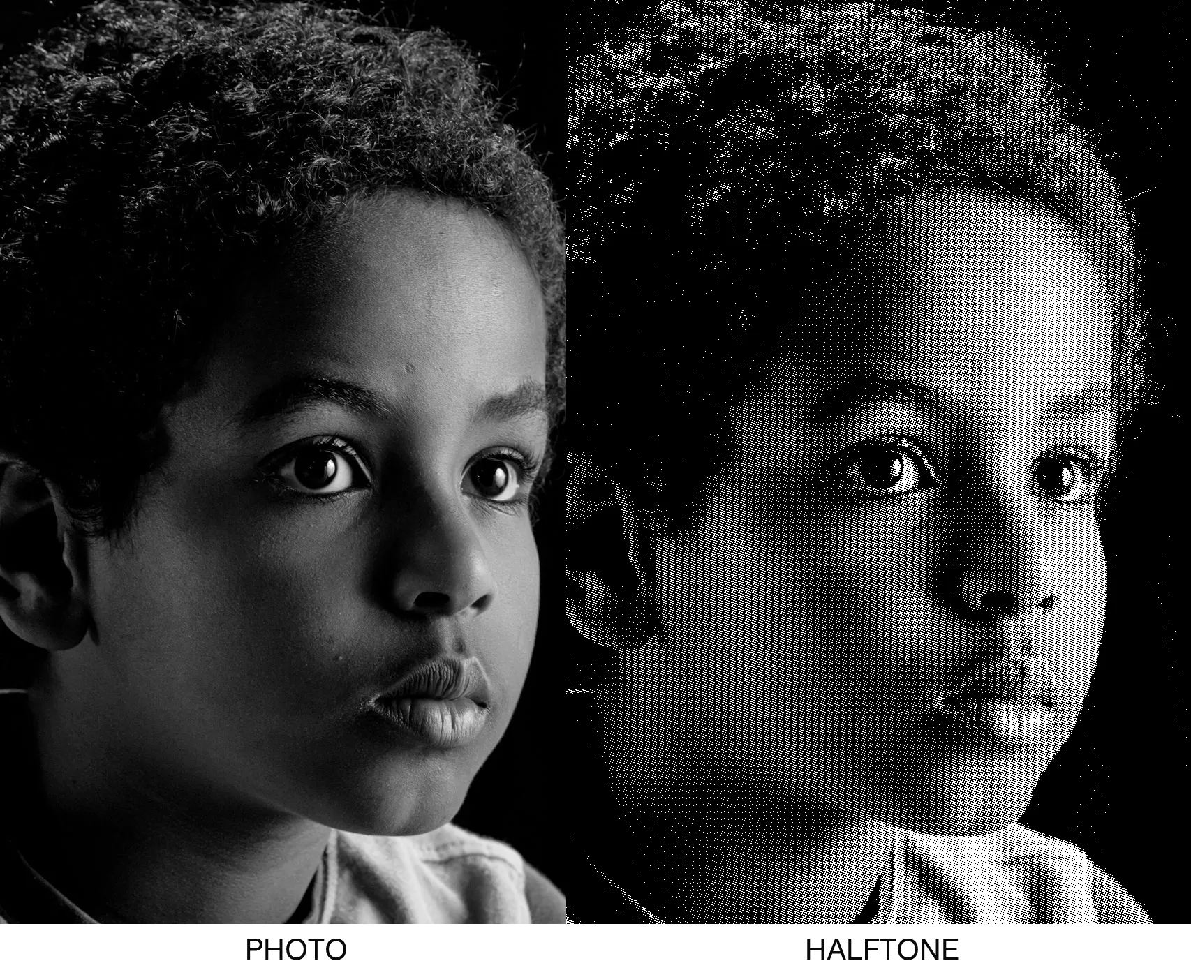 one-color screen print to produce a grayscale halftone