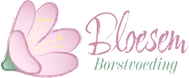 Logo with a stylized pink blossom flower and the text 'Blossem Borstvoeding' in cursive and serif fonts.