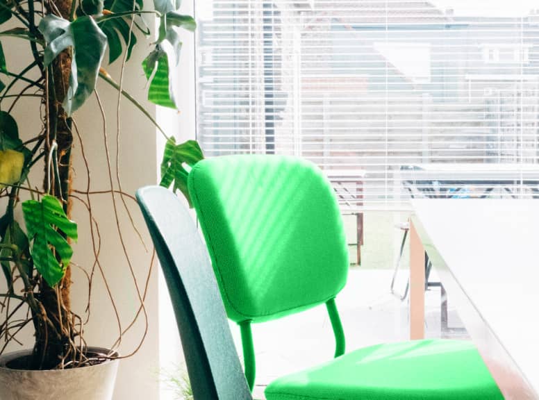 Image Chicago - Localfinder X Webflow Template