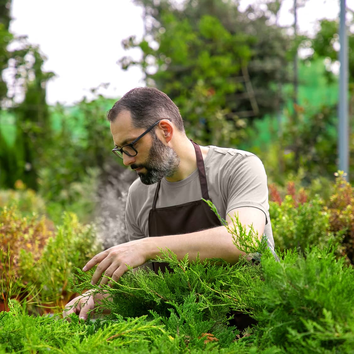 Image Freepik - Localfinder X Webflow Template