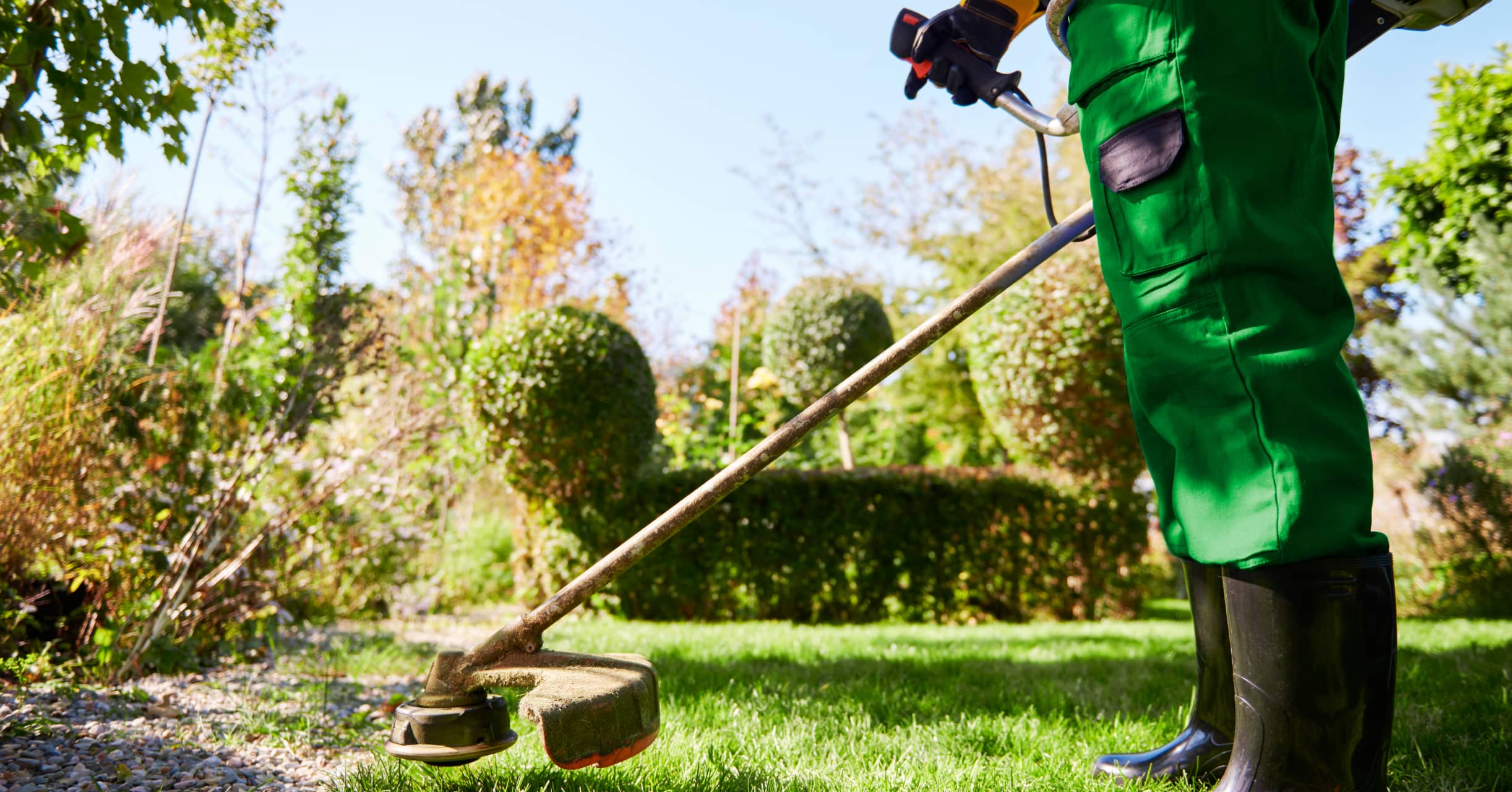 Gardening basics: The whole basic guide to follow