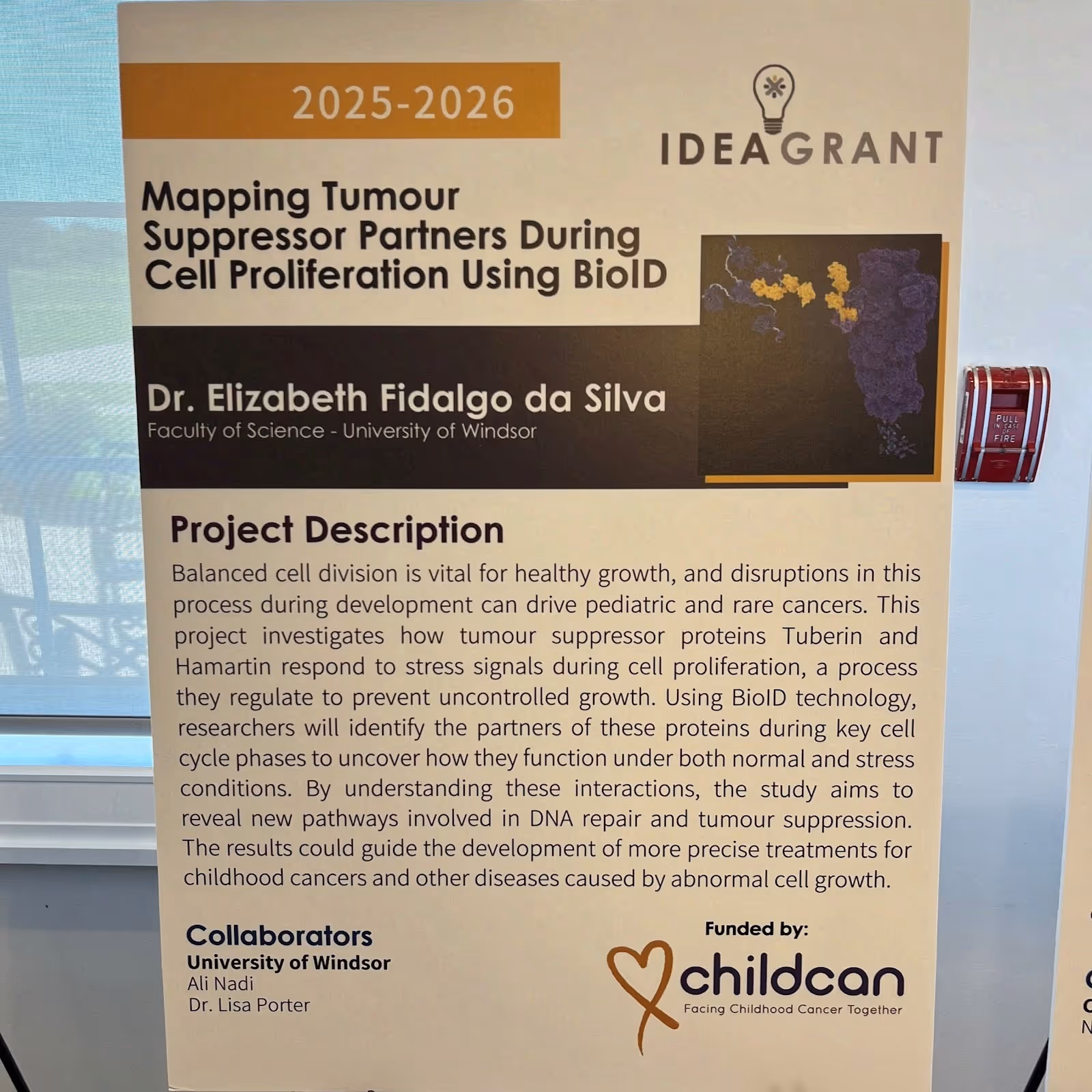 Research description