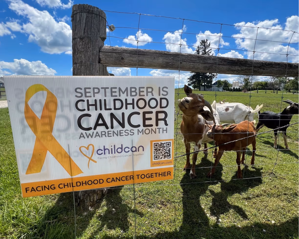 An inquistive goat looks at a sign that reads: September is Childhood Cancer Awareness Month.