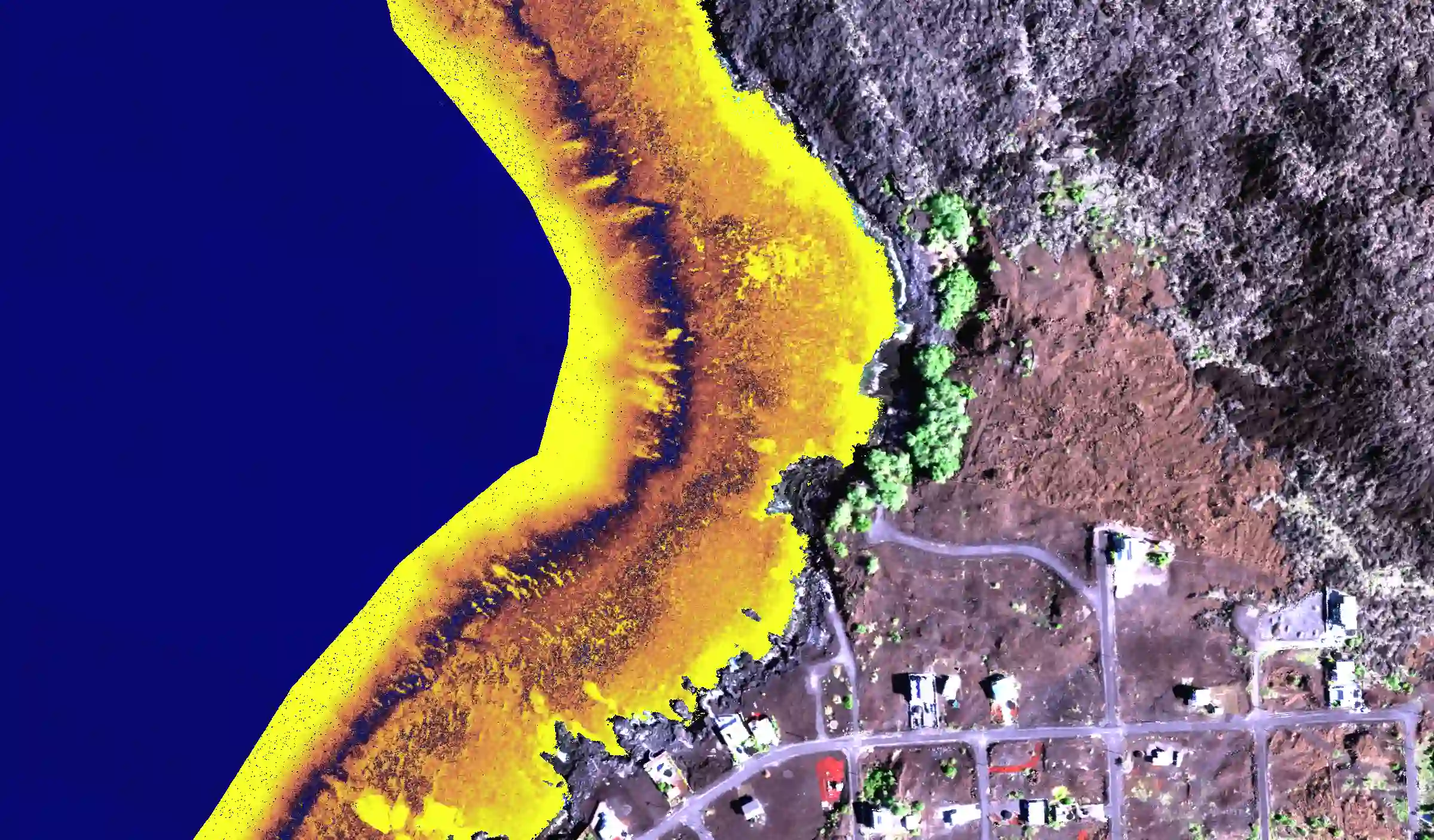 2020 Papa Bay live coral map