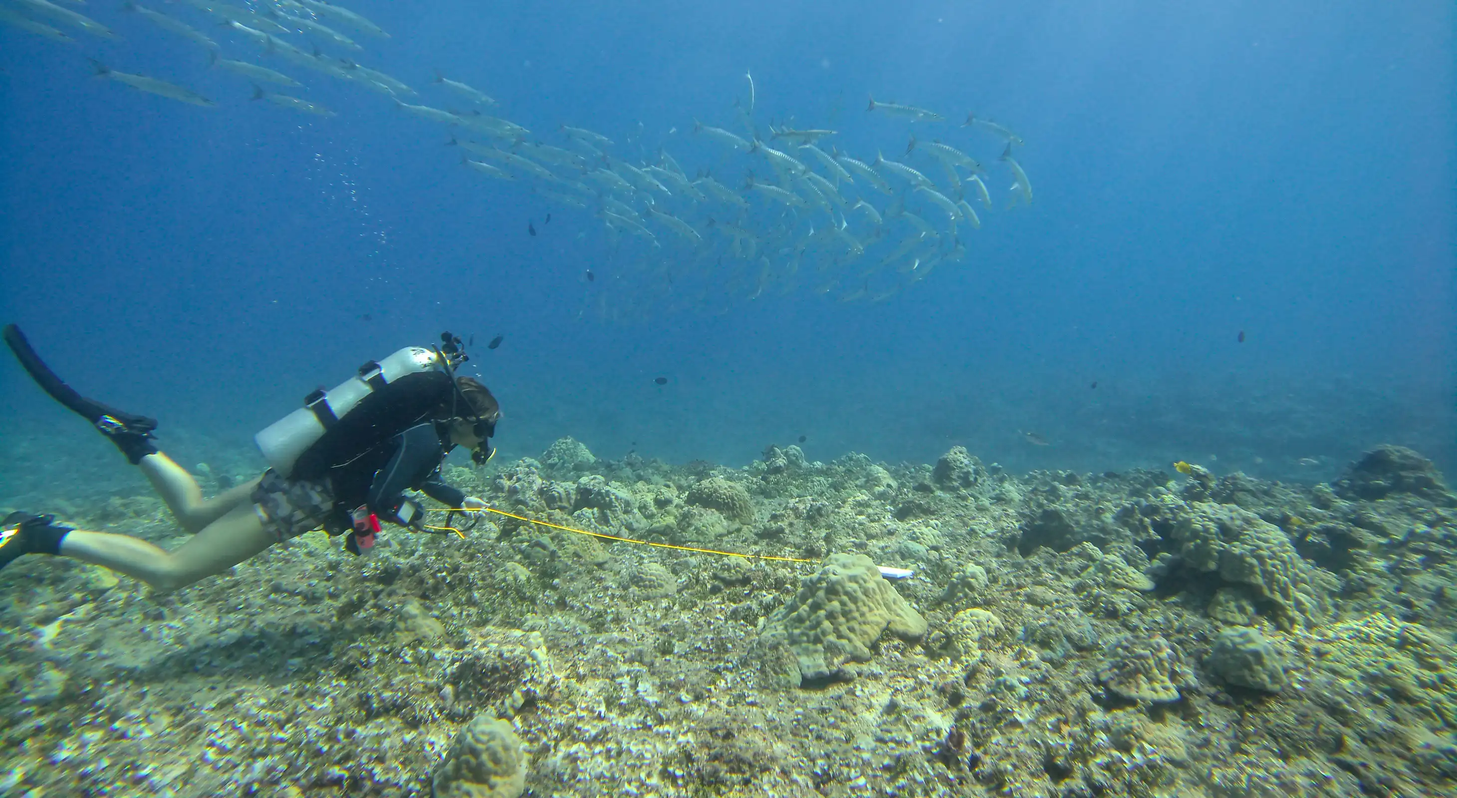 GAO/Hawaii MERC team conducting reef surveying in Guam