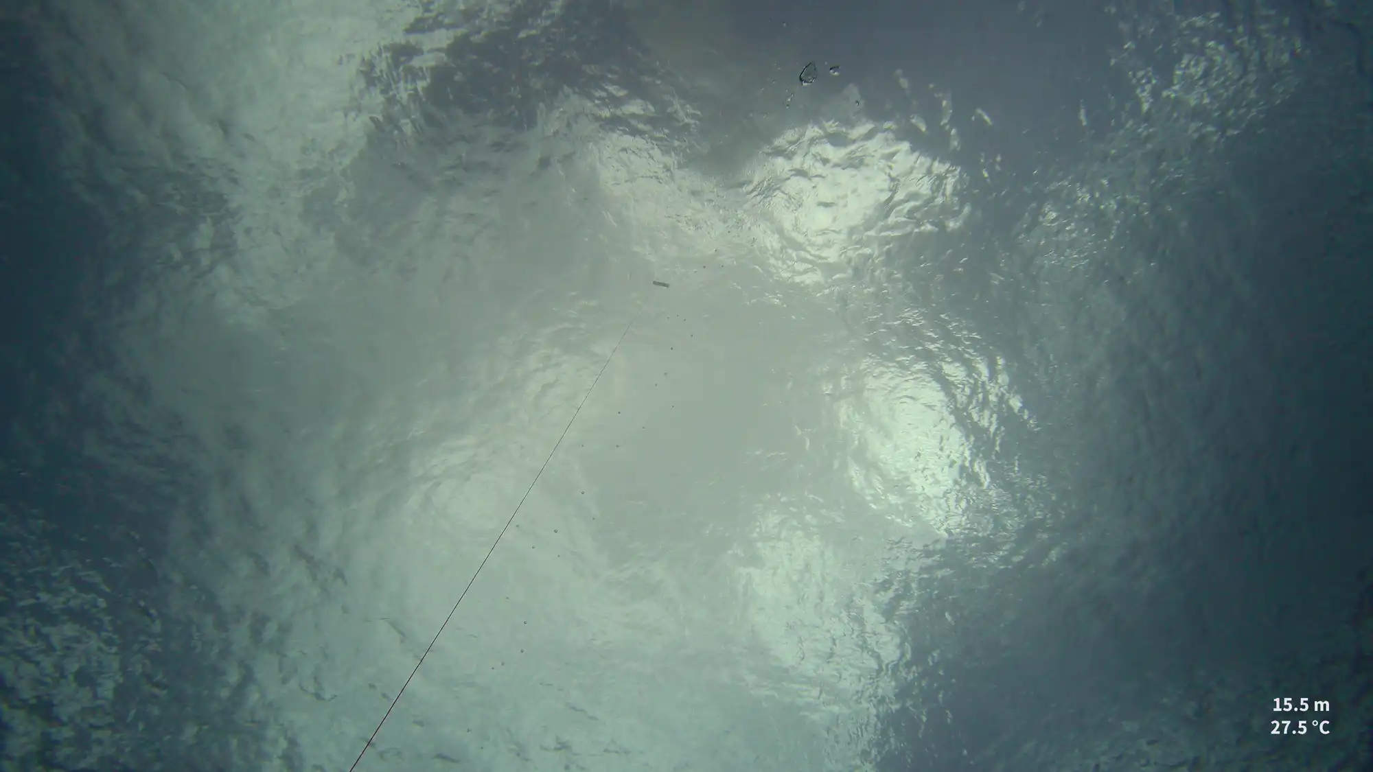 Underwater view looking up toward the ocean surface showing 15.5 meter depth and 27.5 degree Celsius water temperature readings