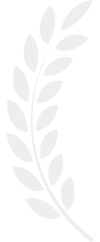 Illustration of a curved olive branch with multiple leaves.