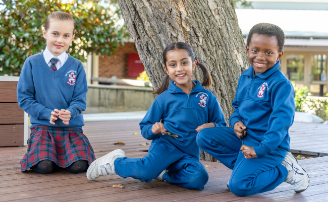 Primary Learning