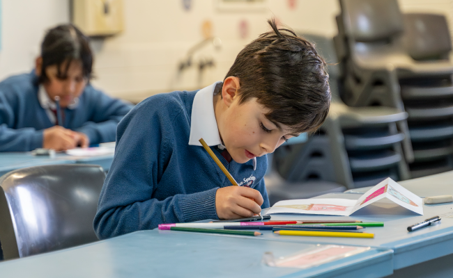 Primary Learning