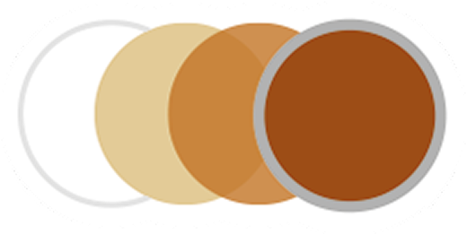Four overlapping circles in shades of brown and beige, arranged from lightest on the left to darkest on the right.