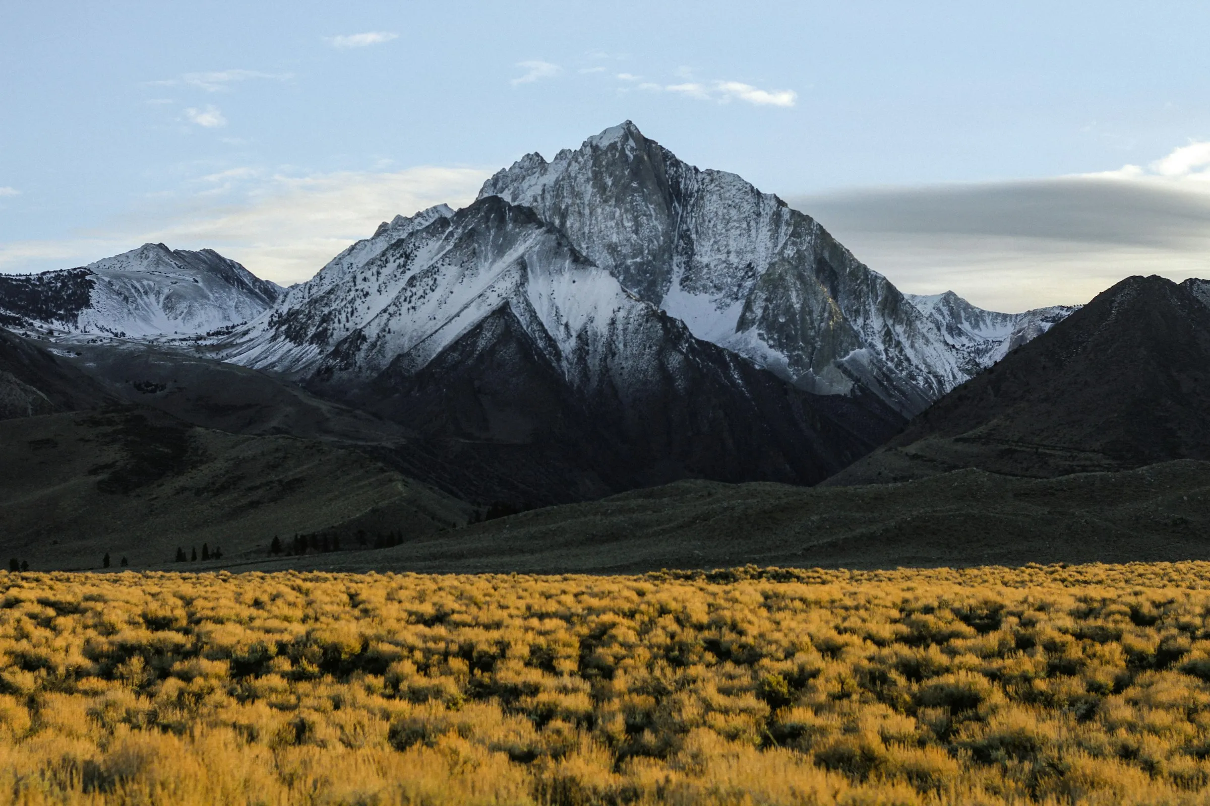 Snow-capped mountain range behind a golden grassy field under a cloudy blue sky.